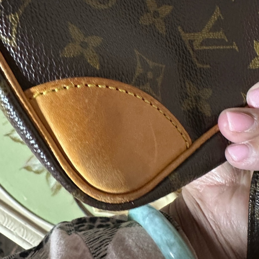 Louis Vuitton Monogram Amazone‎ Crossbody Bag - Picture 10 of 15